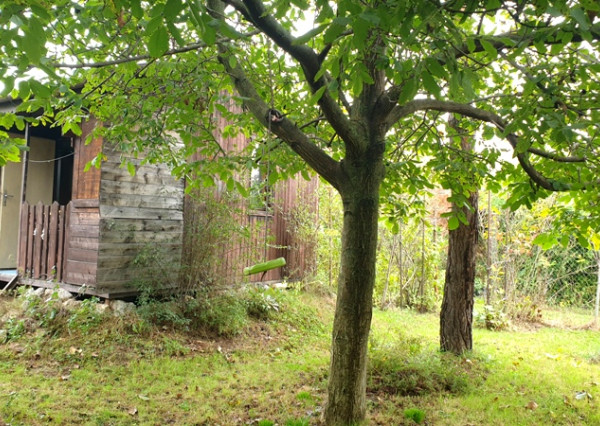 RK VEMA REAL, záhradka v Seredi s chatkou na predaj