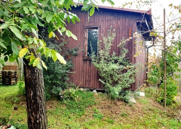 RK VEMA REAL, záhradka v Seredi s chatkou na predaj