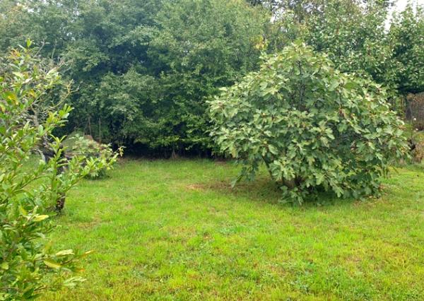 RK VEMA REAL, záhradka v Seredi s chatkou na predaj