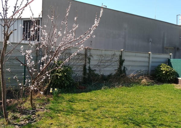 Na prenájom 3izb. Meander s predzáhradkou