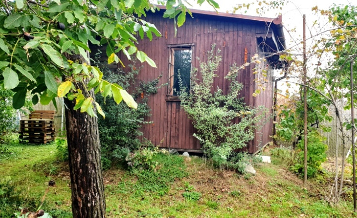 RK VEMA REAL, záhradka v Seredi s chatkou na predaj - fotografia 4